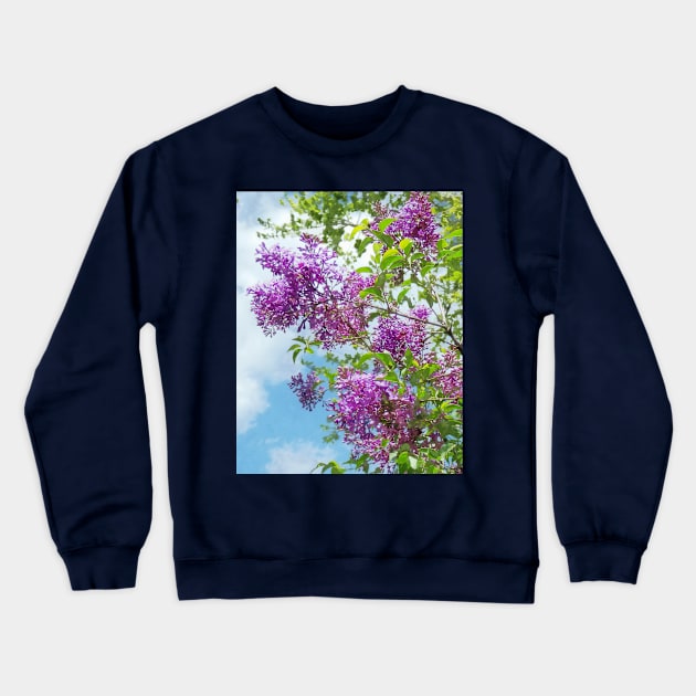 Lilacs on a Sunny Day Crewneck Sweatshirt by SusanSavad